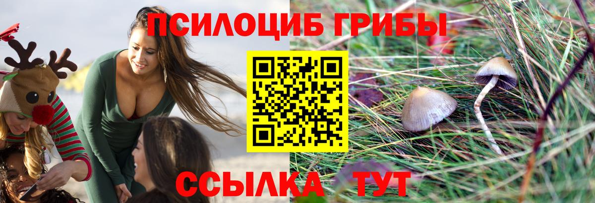 Белая Калитва  Псилоцибиновые грибы мицелий  Вход с VPN 